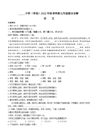 云南省丽江市2022-2023学年七年级上学期期末语文试题