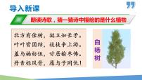 初中语文人教部编版八年级上册白杨礼赞备课课件ppt