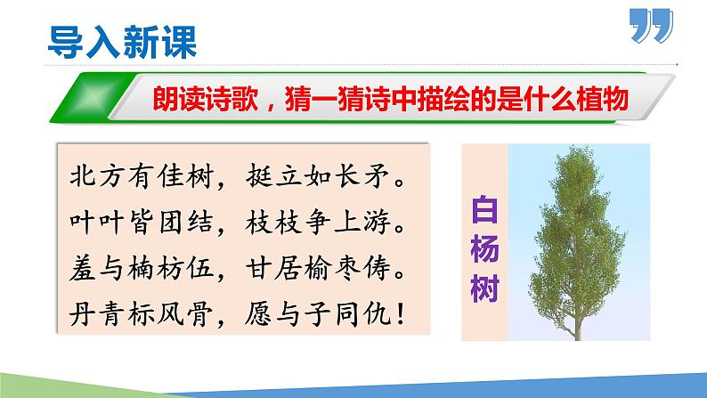 【名师教与练】第15课 白杨礼赞（教学课件）-2022-2023学年语文八年级上册同步备课系列（部编版）第1页
