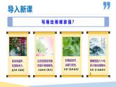 【名师教与练】第17课 昆明的雨（教学课件）-2022-2023学年语文八年级上册同步备课系列（部编版）