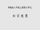 第六单元 知识梳理-2022-2023学年语文八年级上册能力训练 课件PPT