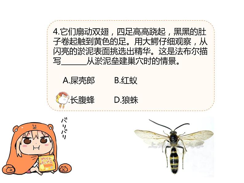 【名著导读·精讲精练】《昆虫记》（精讲课件02）-2022-2023学年部编版语文八年级上册第7页