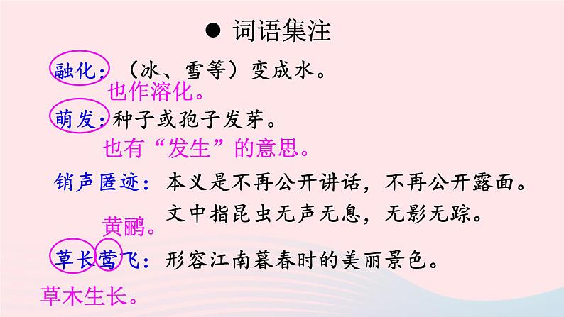 部编八年级语文下册第二单元5大自然的语言配套课件08