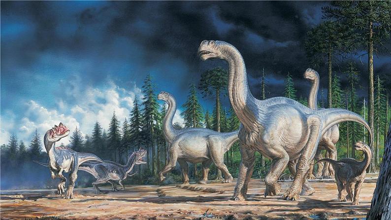 部编八年级语文下册第二单元6阿西莫夫短文两篇第1课时课件第2页