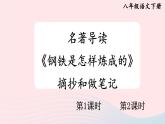 部编八年级语文下册第六单元名著导读钢铁是怎样炼成的配套课件