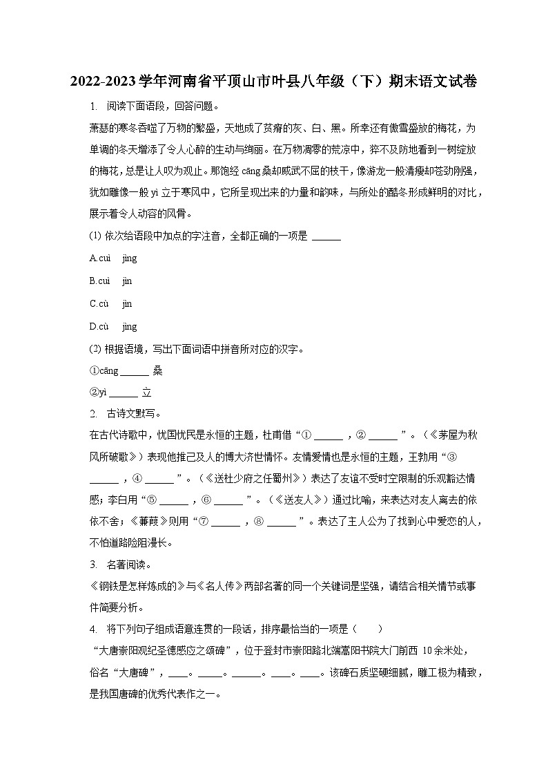 2022-2023学年河南省平顶山市叶县八年级（下）期末语文试卷（含解析）01