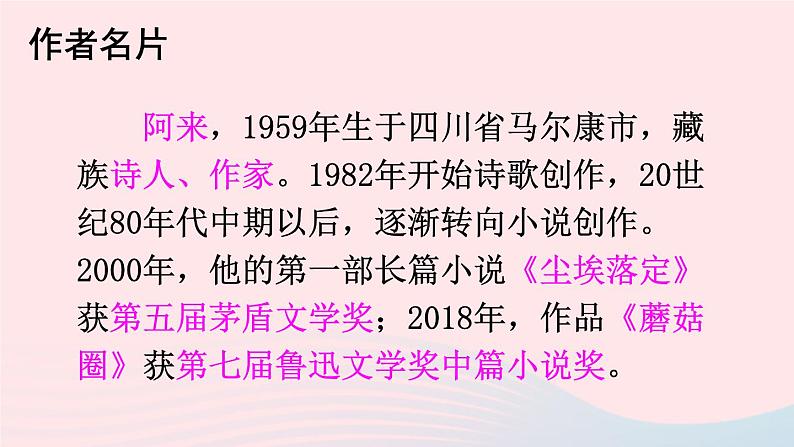 部编八年级语文下册第五单元20一滴水经过丽江课件04