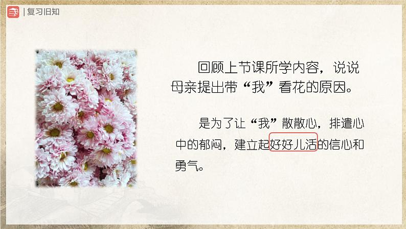 【部编版】七上语文  5《秋天的怀念》（第2课时）（课件+教案+学案）03