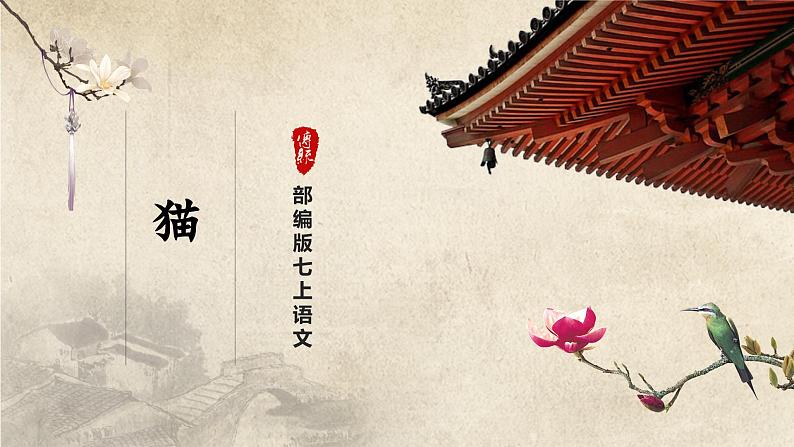 【部编版】七上语文  16《猫》（第1课时）（课件+教案+学案）01