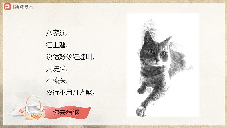 【部编版】七上语文  16《猫》（第1课时）（课件+教案+学案）02
