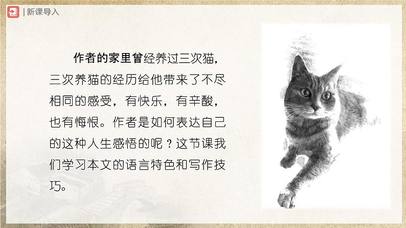 16[教学课件]猫（第2课时）第2页