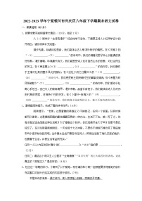 宁夏银川市兴庆区2022-2023学年八年级下学期期末语文试卷