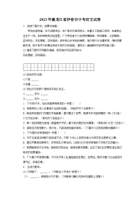 2023年黑龙江省伊春市中考语文试卷（含答案解析）