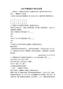 2023年青海省中考语文试卷（含答案解析）