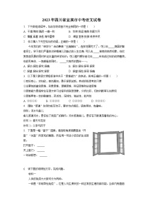 2023年四川省宜宾市中考语文试卷（含答案解析）