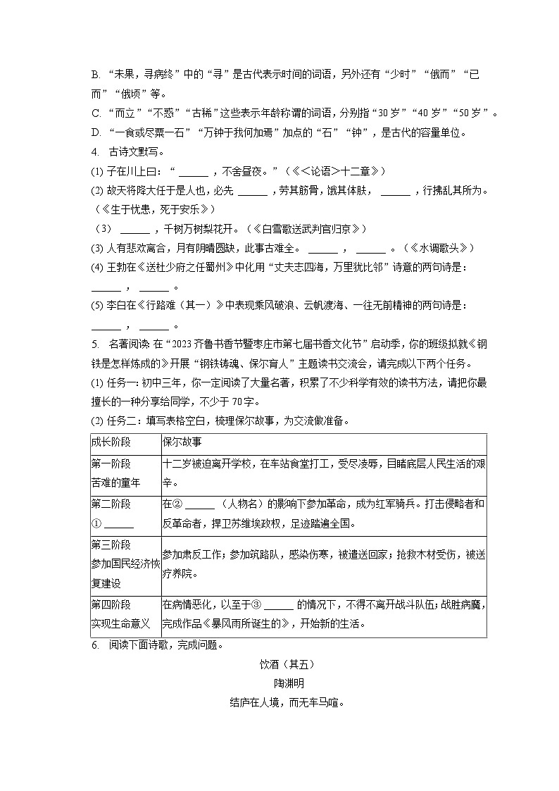 2023年山东省枣庄市中考语文试卷（含答案解析）02