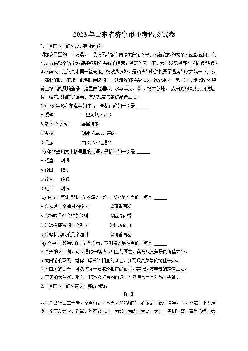 2023年山东省济宁市中考语文试卷（含答案解析）01