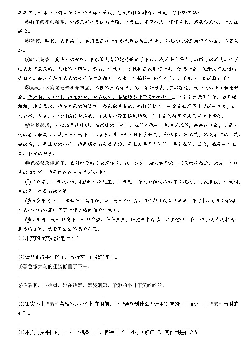 部编版初中语文七年级下册第19课《一棵小桃树》同步练习题第3页