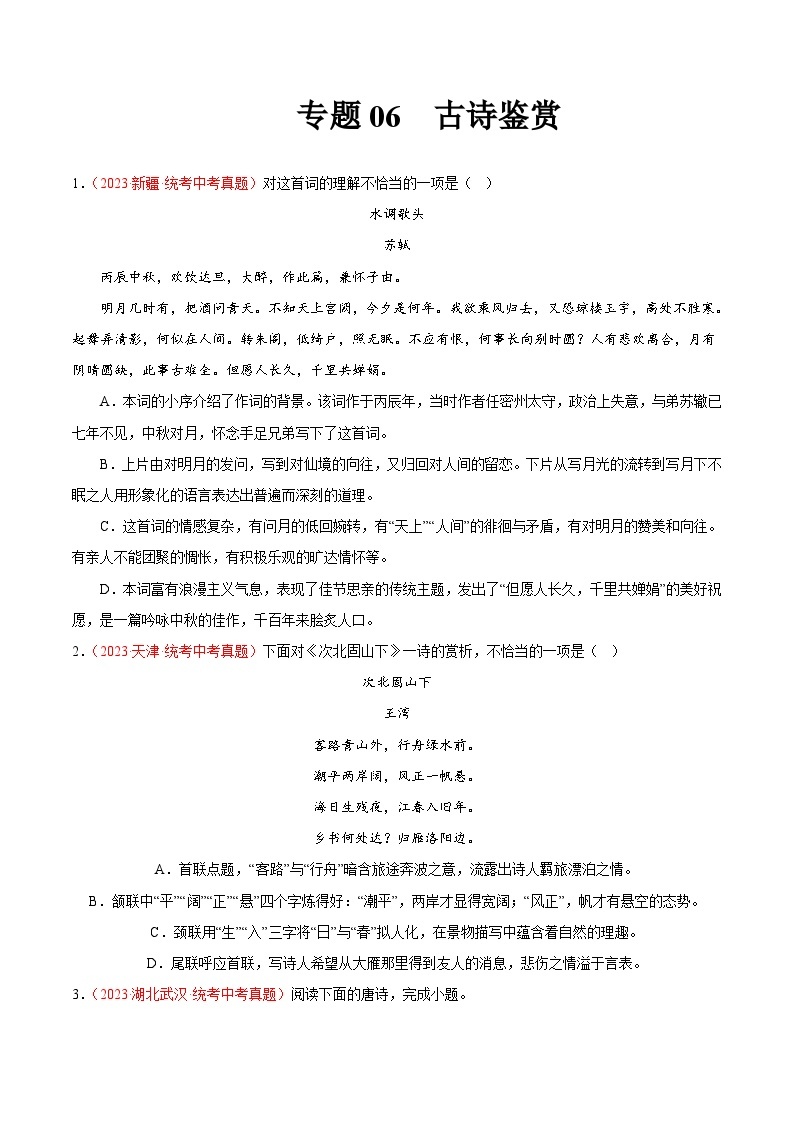 2023年中考语文真题分类汇编——专题06  古诗鉴赏（全国通用）01