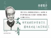 人教部編版語文九年級上冊 名著導(dǎo)讀-艾青詩選  課件
