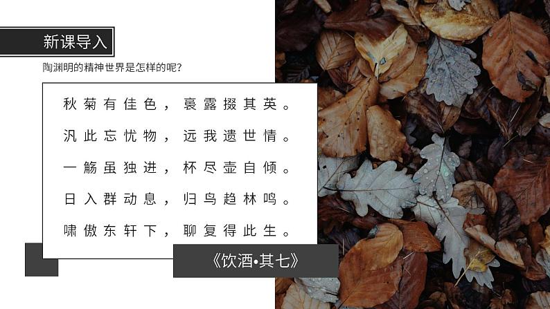 人教部编版语文九年级上册 10 精神的三间小屋 课件02