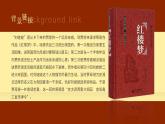 人教部编版语文九年级上册 25 刘姥姥进大观园 课件