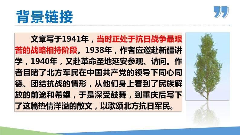 15 白杨礼赞-2023-2024学年八年级语文上册同步优课课件（PPT）06