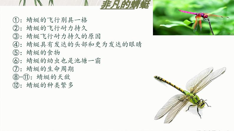 中考语文说明文阅读总体复习课件08