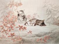 初中语文人教部编版七年级上册猫图片ppt课件