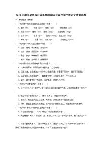 2023年湖北省恩施州咸丰县朝阳寺民族中学中考语文冲刺试卷（word版含答案解析）
