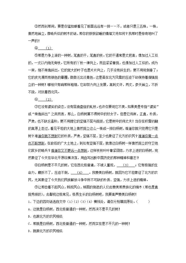 【核心素养目标】人教部编版初中语文八年级上册 《白杨礼赞》第一课时课件+教案+同步分层练习（含答案）03