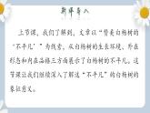 【核心素养目标】人教部编版初中语文八年级上册 《白杨礼赞》第二课时课件+教案+同步分层练习（含答案）