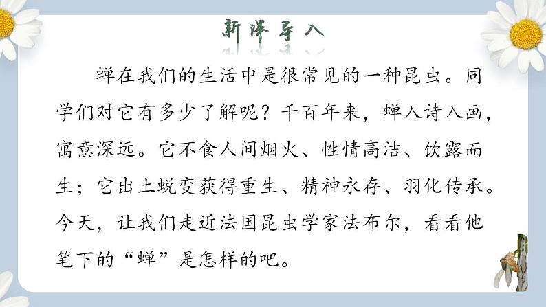 【核心素养目标】人教部编版初中语文八年级上册 《蝉》第一课时课件+教案+同步分层练习（含答案）03