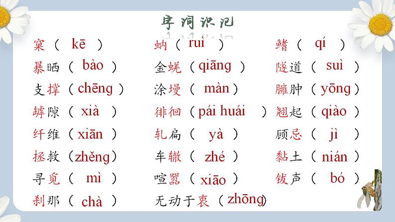 【核心素养目标】人教部编版初中语文八年级上册 《蝉》第一课时课件+教案+同步分层练习（含答案）08