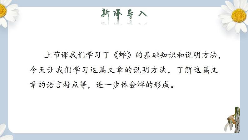 【核心素养目标】人教部编版初中语文八年级上册 《蝉》第二课时课件+教案+同步分层练习（含答案）02