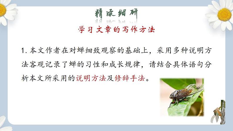 【核心素养目标】人教部编版初中语文八年级上册 《蝉》第二课时课件+教案+同步分层练习（含答案）03