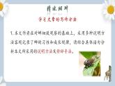 【核心素养目标】人教部编版初中语文八年级上册 《蝉》第二课时课件+教案+同步分层练习（含答案）