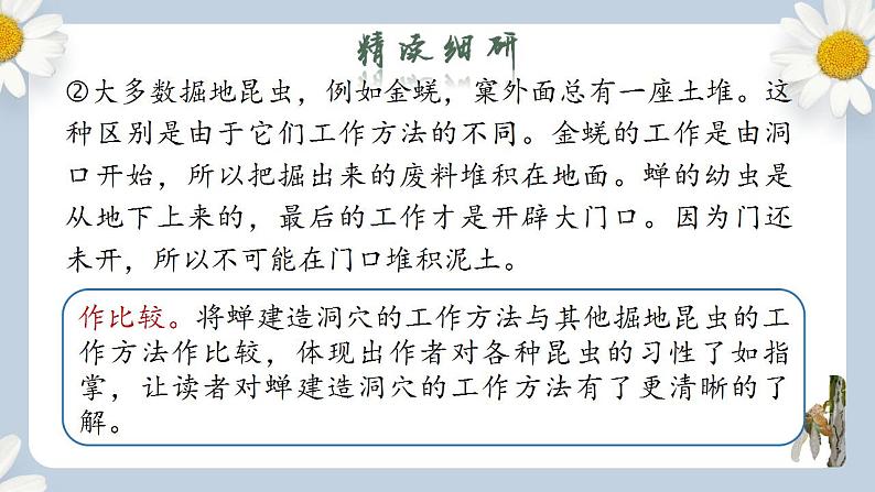 【核心素养目标】人教部编版初中语文八年级上册 《蝉》第二课时课件+教案+同步分层练习（含答案）05