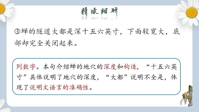 【核心素养目标】人教部编版初中语文八年级上册 《蝉》第二课时课件+教案+同步分层练习（含答案）06