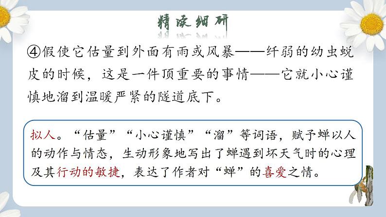 【核心素养目标】人教部编版初中语文八年级上册 《蝉》第二课时课件+教案+同步分层练习（含答案）07