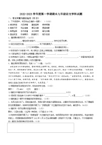 安徽省安庆市石化第一中学2022--2023学年九年级上学期期末语文试题（含答案）