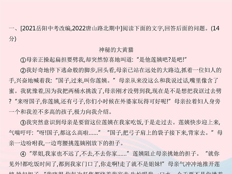 河北专用2023九年级语文上册第四单元中考阅读专训作业课件新人教版03