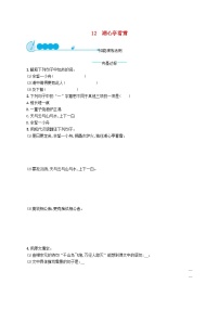初中语文人教部编版九年级上册湖心亭看雪当堂检测题