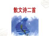 【核心素养】部编版初中语文七年级上册第7课《散文诗二首》课件