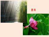 3 雨的四季-七年级语文上册课件