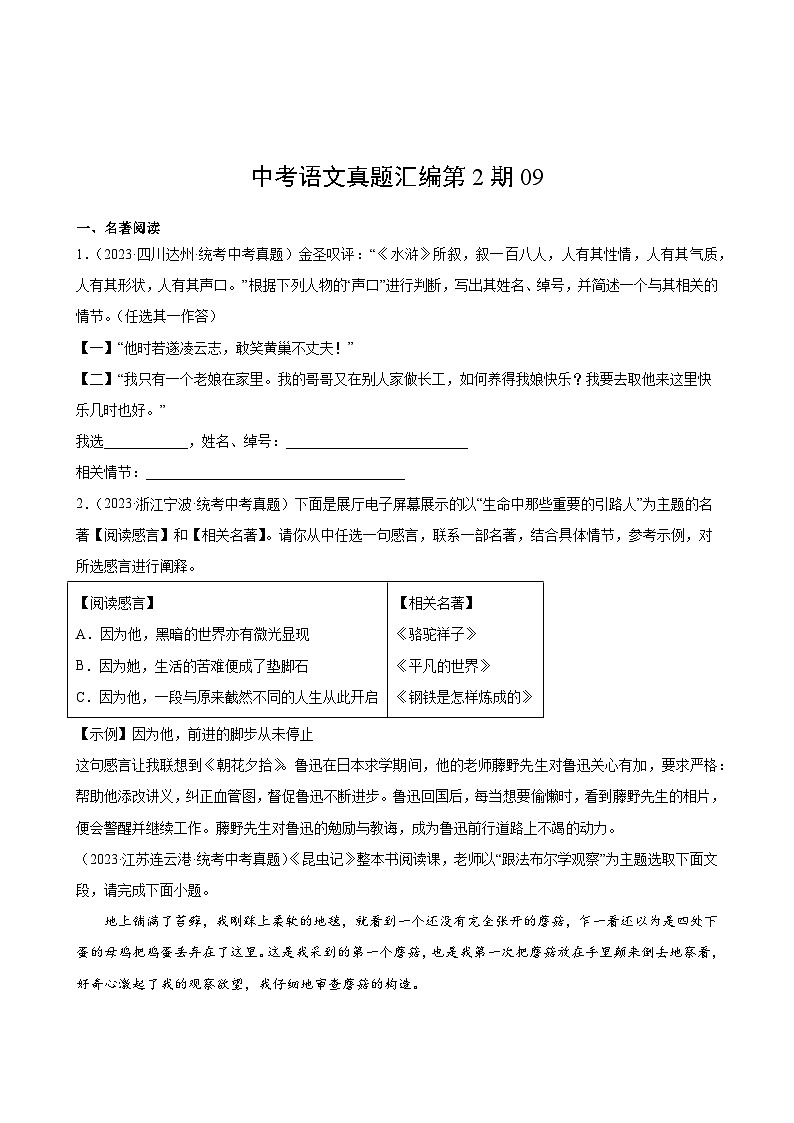 中考语文真题汇编第2期0902