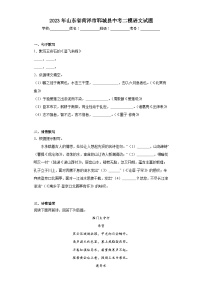 2023年山东省菏泽市郓城县中考二模语文试题（含解析）