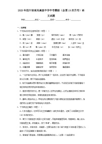 2023年四川省南充高级中学中考模拟（总第13次月考）语文试题（含解析）