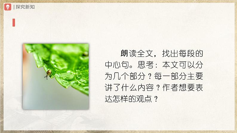 【人教部编版】八上语文  16《散文二篇》（第1课时）（课件+教案+导学案）06