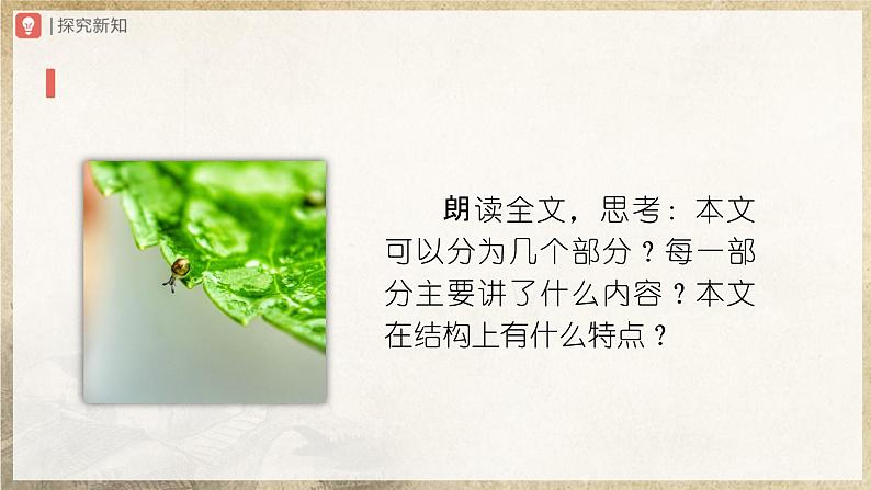 【人教部编版】八上语文  16《散文二篇》（第2课时）（课件+教案+导学案）06